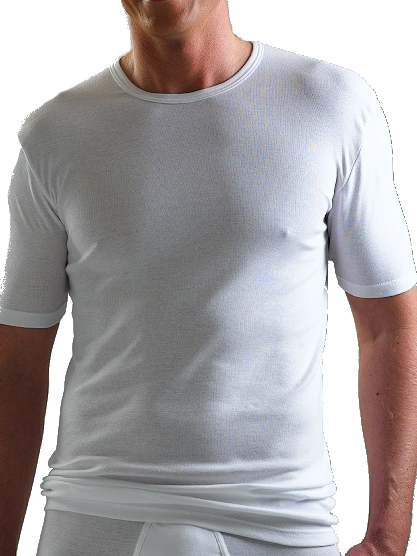 1/2 Arm Hemd Premium Cotton AMMANN