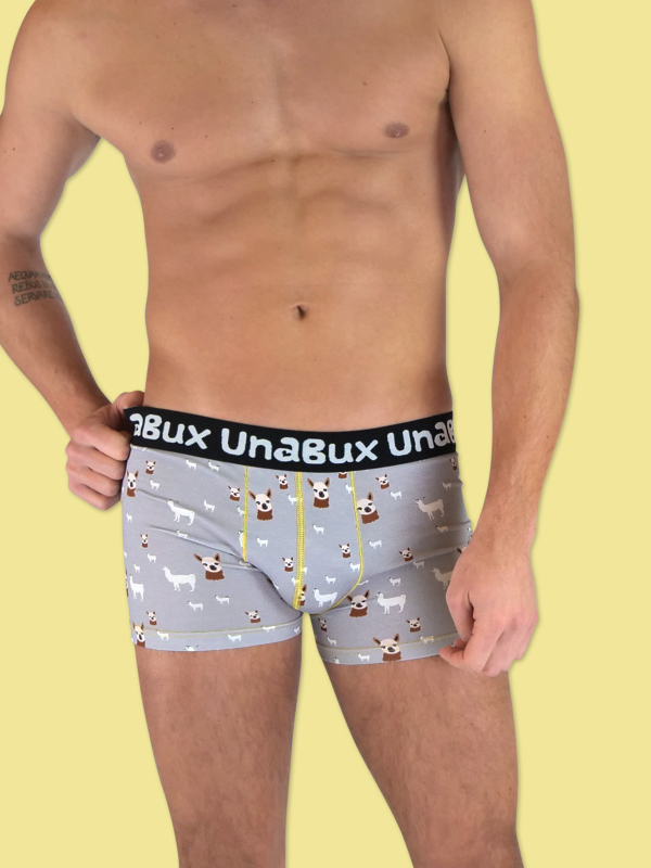 unabux Boxer Brief WOOLHEAD